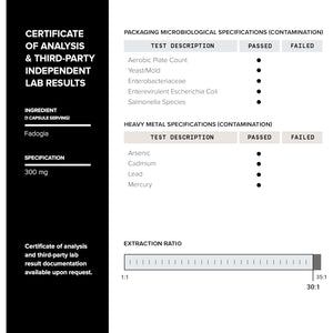 Tongkat Ali Fadogia Agrestis - Ultra High Potency 200:1 Tongkat Ali & 30:1 Fadogia Agrestis - 2% Eurycomanone -Third-Party Lab Tested - 120 Capsules