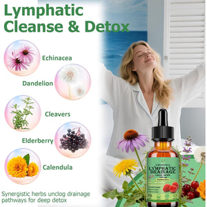 Lymphatic Drainage Drops, 18-In-1 Herbal Lymph System Support W. Echinacea Elderberry Dandelion Burdock Root Cleavers for Lymphatic Cleanse Detox Immune Support, Liposoaml for Max Absorption