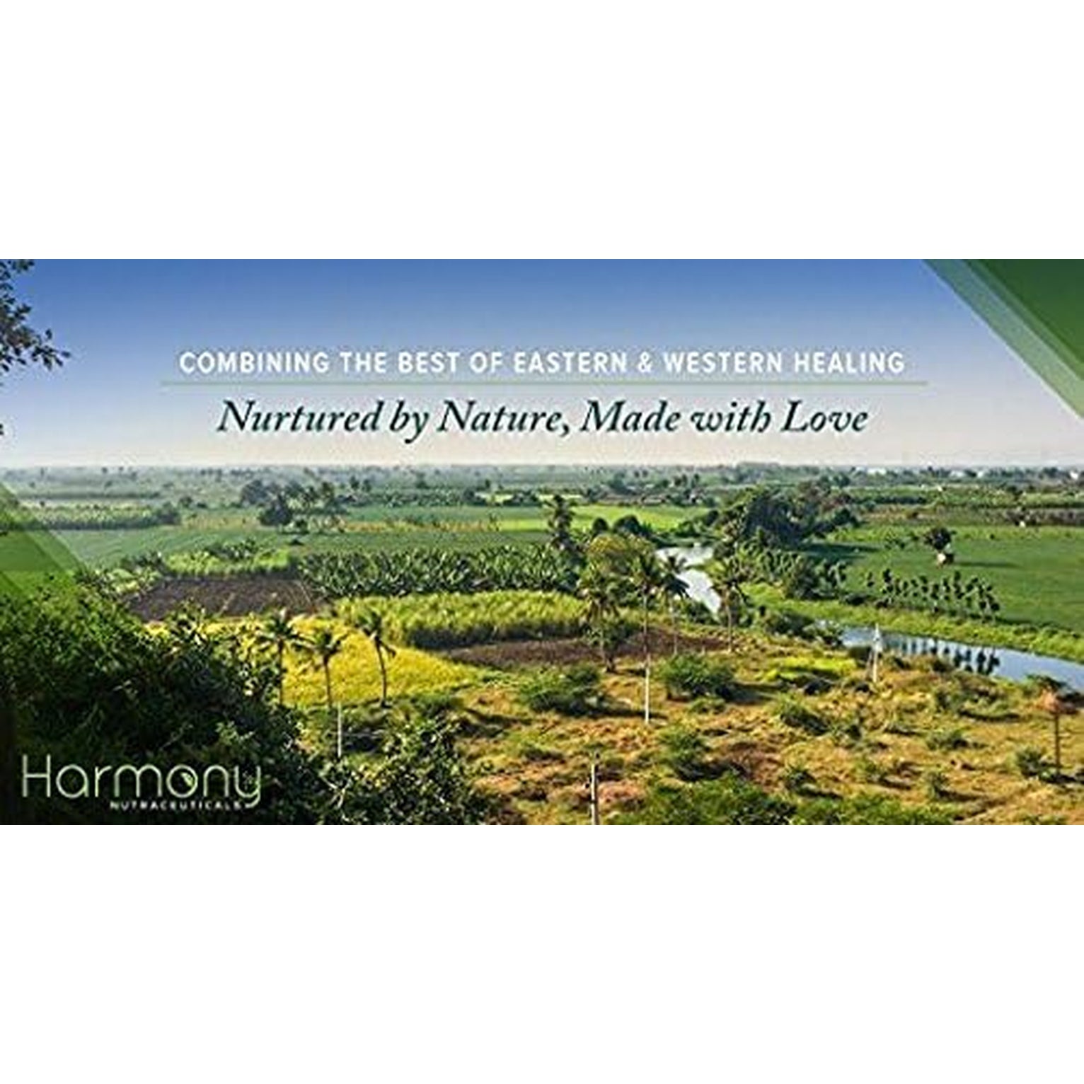 Bhumi Amla Supreme - Chanca Piedra – Harmony Nutraceutical Highest Potency, Maximum Bioactivity, Pure Herbal Supplement for Liver, Gallbladder & Kidney