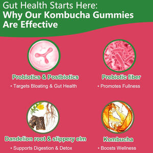 Probiotic Kombucha Gummy - Prebiotics, Probiotics, Postbiotics, Fiber Supplement, Slippery Elm for Bloating, Gut Health, Women and Men, 60Ct
