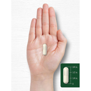 Carlyle Wild Yam Root Capsules | 200 Count | Traditional Herbal Extract | Non-Gmo, Gluten Free