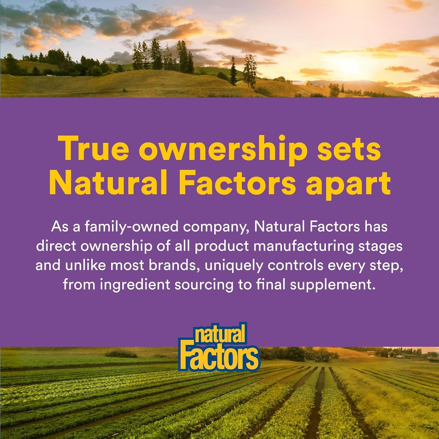 Natural Factors 100% Pure Saffron Extract - Supports Restful Sleep & Calm Outlook - Natural Herbal Supplement for Relaxation Support - 30 Vegetarian Capsules (30 Servings)