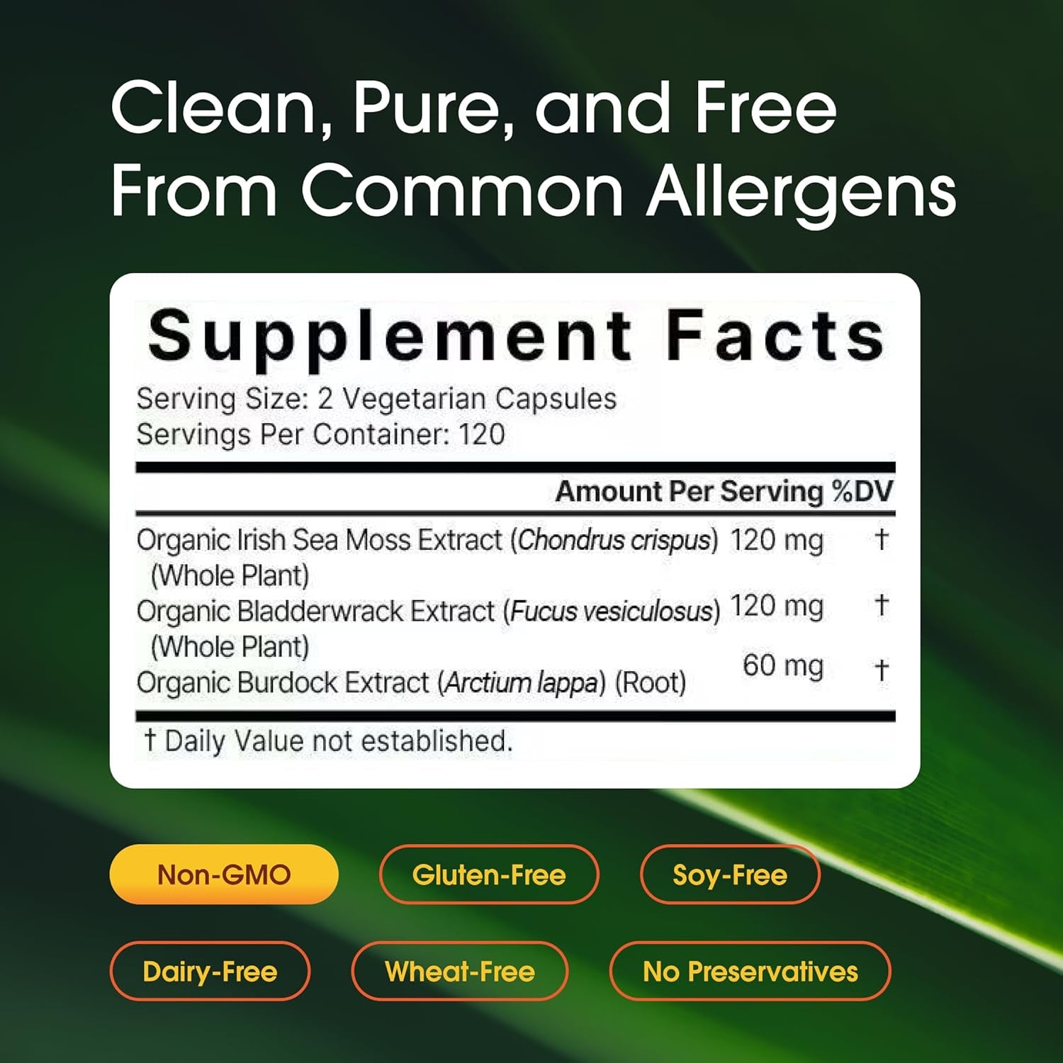 Naturebell 3-In-1 Sea Moss - 240 Vegetarian Capsules - Sea Moss Complex with Organic Bladderwrack & Organic Burdock Root - Healthy Digestion, Vitality & Immune Support*