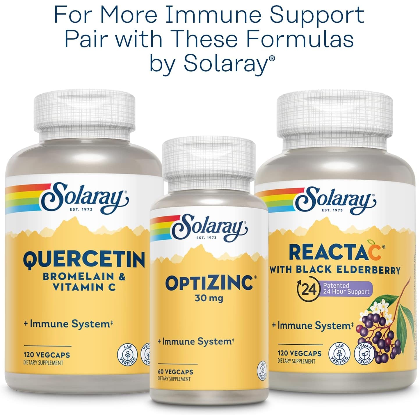 SOLARAY L-Lysine Monolaurin Immune Support Supplement, 1:1 Ratio for Immune System Function, 500 Mg Each, 60-Day Money Back Guarantee, 30 Servings, 60 Vegcaps