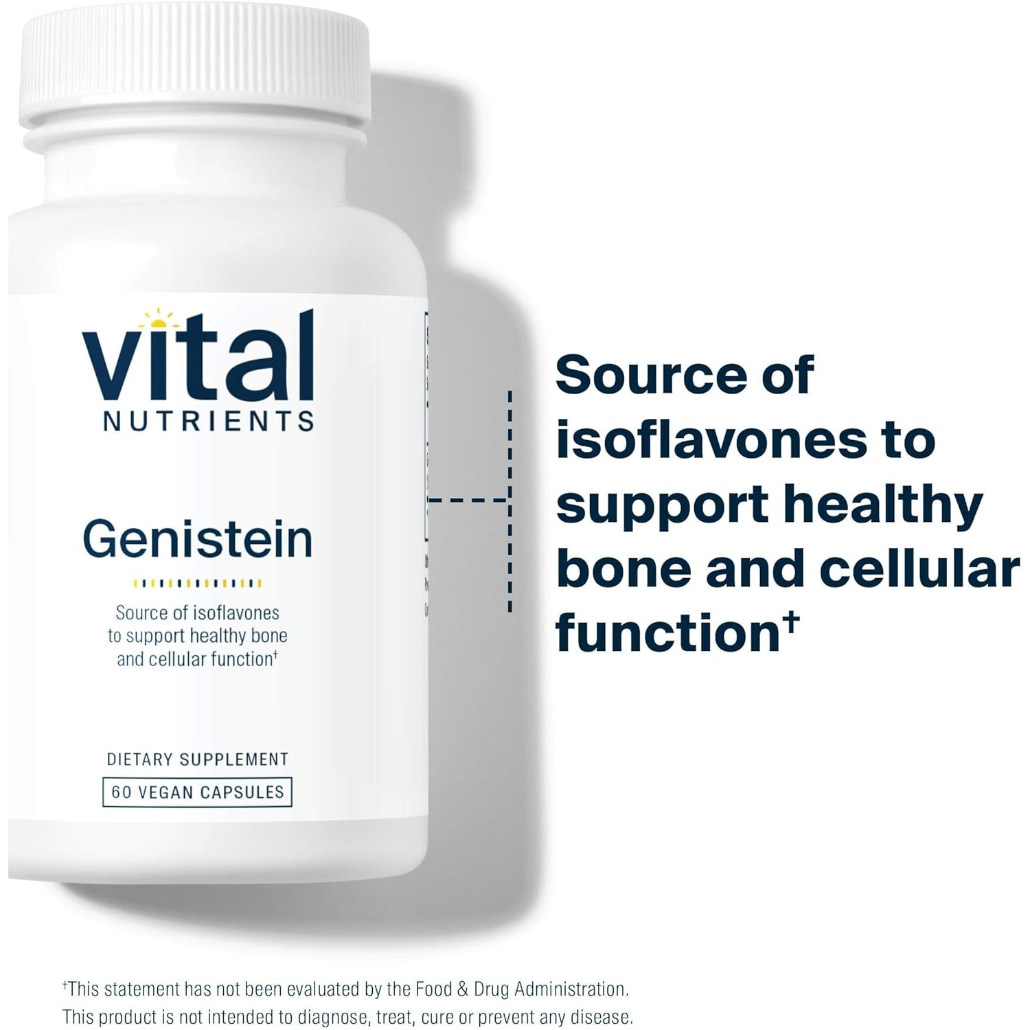 Vital Nutrients Genistein - Easily Absorbed Isoflavones for Bone Health Support* - Vegan Supplement - Gluten and Dairy Free - Non-Gmo - 60 Capsules