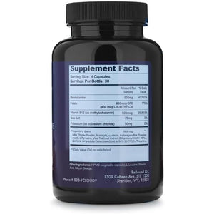 Cloud9 Daily Restore – Liver Detox & Recovery Supplement with Milk Thistle, NAC & B-Vitamins – Energy, Focus & Nutrient Support after Drinking – 120 Capsules – Made in USA