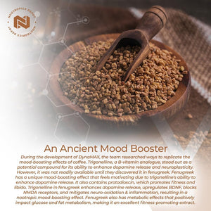 Nootropics Depot Fenugreek Extract Capsules | 500Mg | 60 Ct | 3% Trigonelline, 1% Protodioscin | Trigonella Foenum-Graecum | Mood, Fitness, & Metabolic Function