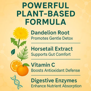 Debloat Powder for Supports Digestive Comfort & Bloating Relief, Digestive Enzymes for Women & Men, Rich in Vitamin C, Dandelion Root, Horsetail Extract, Non GMO, Peach Mango, 200G / 7.05OZ