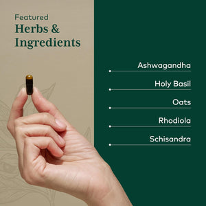GAIA HERBS PRO Daytime HPA - Adaptogen Support Supplement - Nervous System Support Supplement with Olive Oil & Rhodiola* - Vegan, Gluten-Free, Soy-Free - 120 Liquid Phyto-Caps (60 Servings)