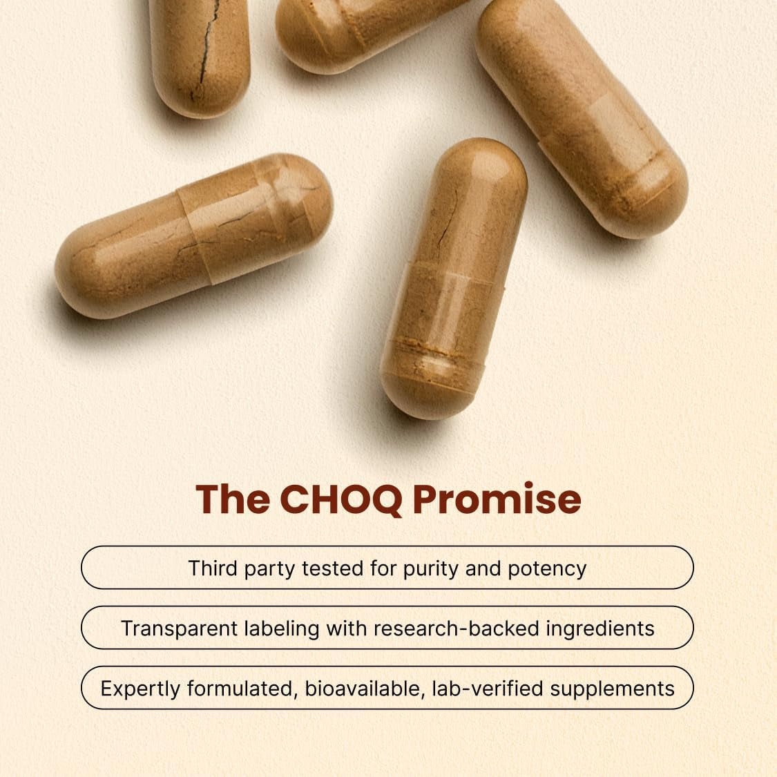 CHOQ Daily with 500Mg Primavie Shilajit, Safed Musli, Tribulus - Natural Energy, Libido & Muscle Support - Daily Supplement for Men, 60 Vegan Capsules
