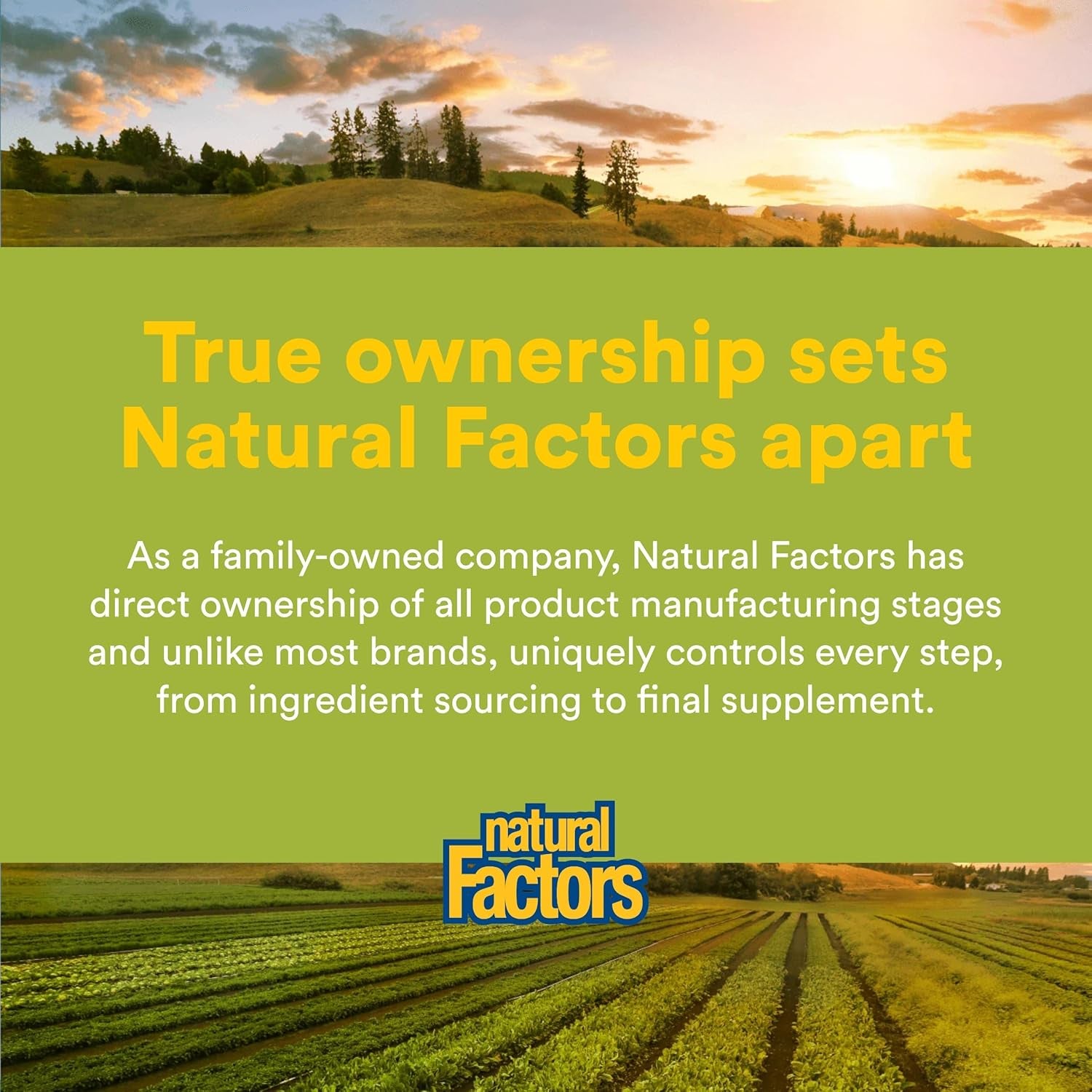 Whole Earth & Sea from Natural Factors, Women'S Multivitamin & Mineral, Whole Food Supplement, Vegan, 60 Tablets (30 Servings)