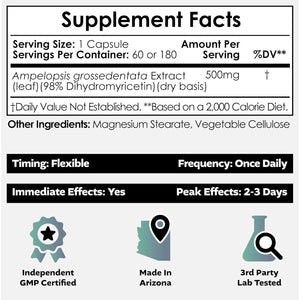 Nootropics Depot Dihydromyricetin (DHM) Capsules | after Drinking Support & Next Day Recovery | DHM Supplement | Supports Alcohol Metabolism | Vine Tea Extract (Ampelopsis Grossedentata) | 60Ct