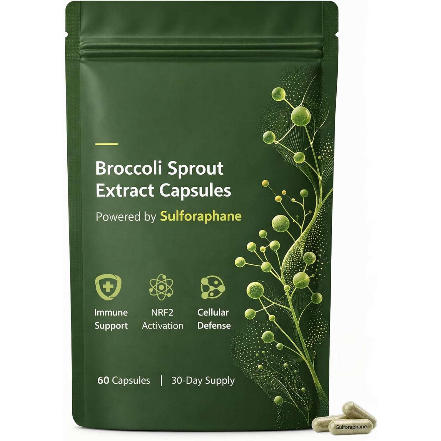 Broccoli Sprout Extract Capsules | with Glucoraphanin & Myrosinase, Sulforaphane Precursor Support with Mustard Seed Extract & Vitamin C | Vegan Non-Gmo | 60 Capsules
