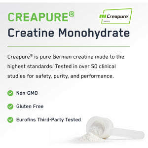 Steelfit Creapure Creatine Monohydrate Powder, Unflavored - German Micronized Creatine Powder for Men & Women - Gym Workout Nutritional Supplements for Muscle Gain, Brain Health & Strength Building