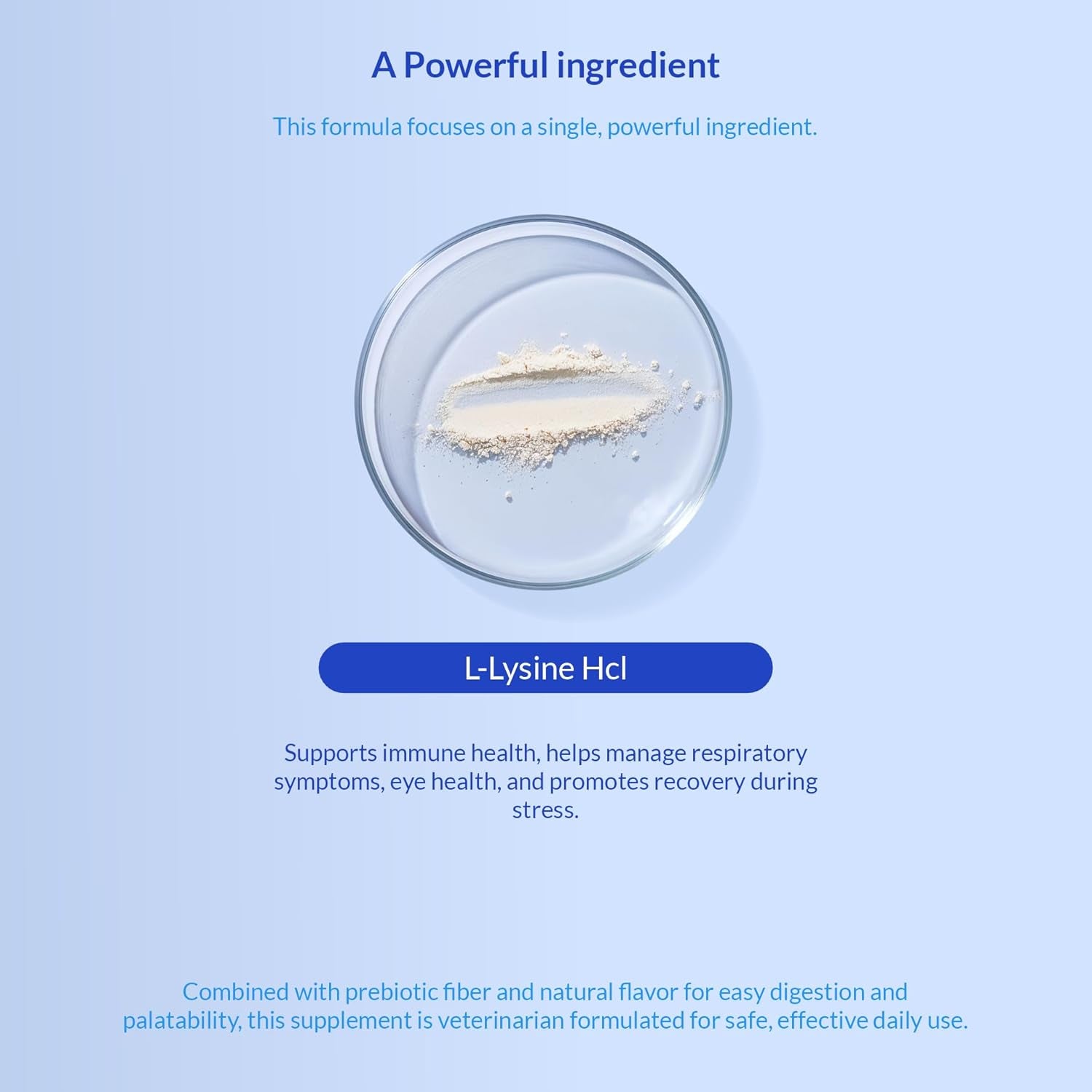 L-Lysine Supplement for Cats 900Mg/Scoop - Cat Supplement for Sneezing and Runny Nose, Cold, Immune Support, Eye Function, and Respiratory Health – Lysine Powder