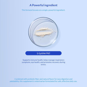 L-Lysine Supplement for Cats 900Mg/Scoop - Cat Supplement for Sneezing and Runny Nose, Cold, Immune Support, Eye Function, and Respiratory Health – Lysine Powder
