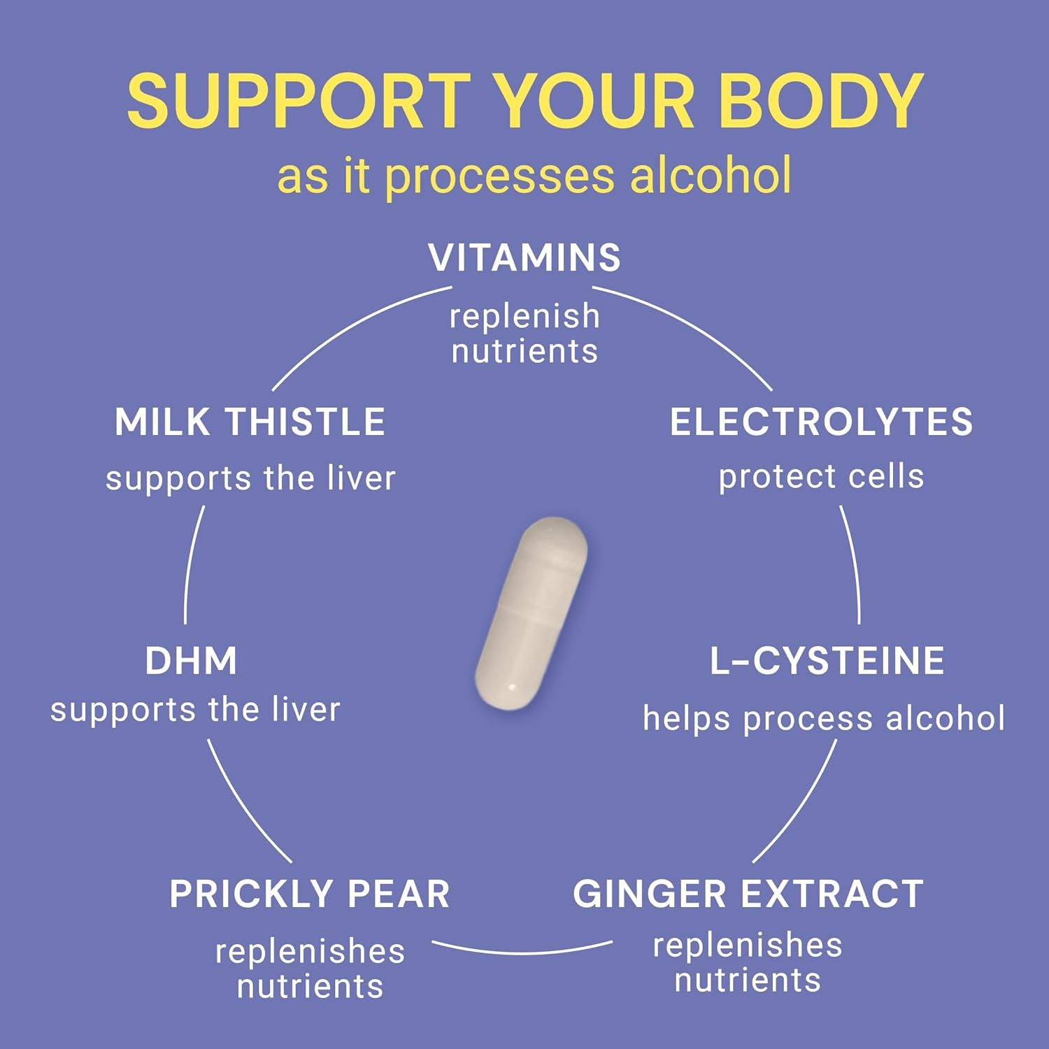 Blowfish Wingman | Supplement with DHM + L-Cysteine + Electrolytes | Feel Better after Drinking | Pre-Alcohol Liver Support & Hydration