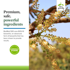 Terry Naturally Bosmed 500 Extra Strength - Boswellia Serrata Extract Supplement - Supplement for Healthy Lung Support - Herbal Supplement Formula with High Levels of AKBA - 120 Softgels