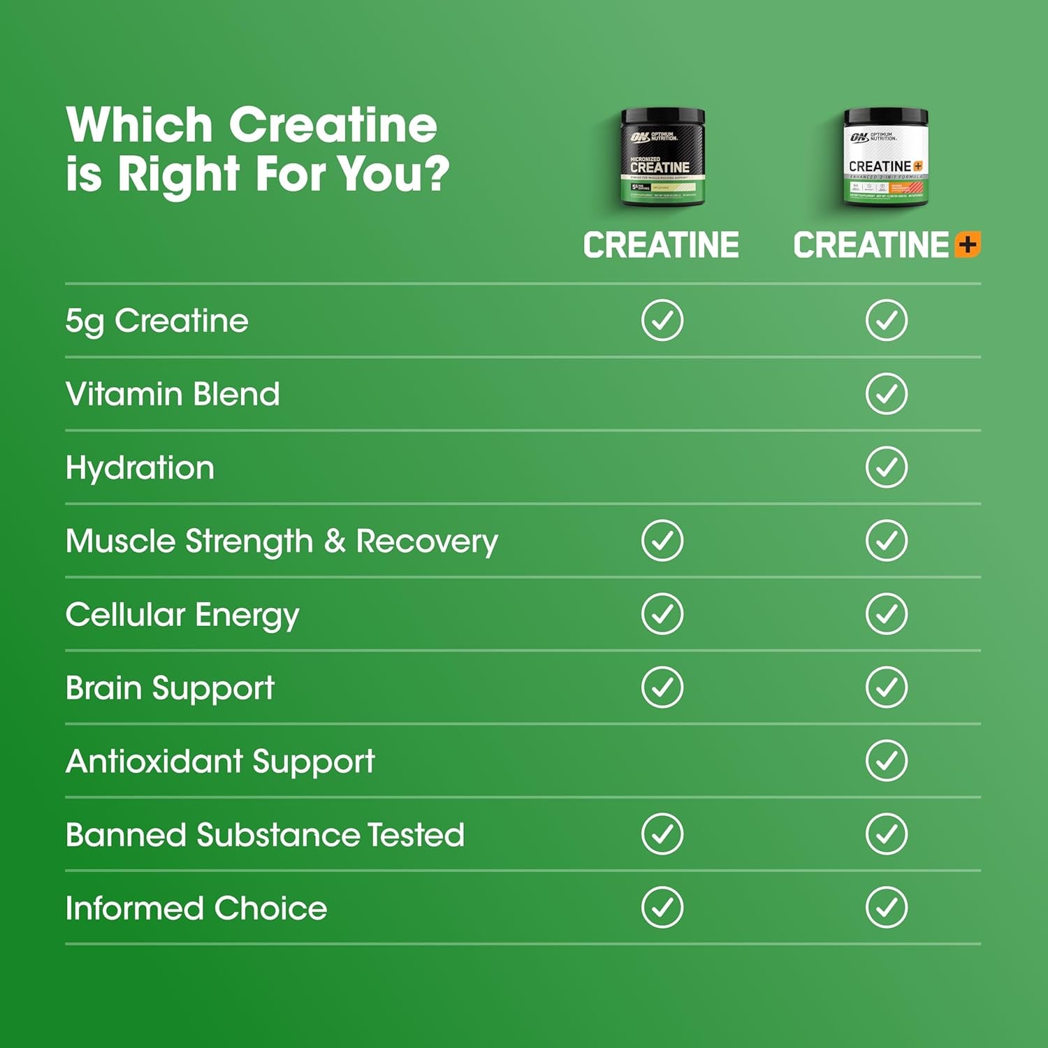 Optimum Nutrition Micronized Creatine Monohydrate Powder, Unflavored, 60 Servings, 300 Grams (Packaging May Vary)