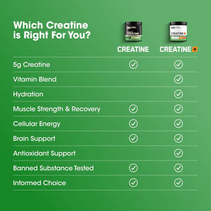 Optimum Nutrition Micronized Creatine Monohydrate Powder, Unflavored, 60 Servings, 300 Grams (Packaging May Vary)