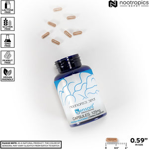 Nootropics Depot Sensoril Ashwagandha Capsules | 125Mg | 180 Ct. | Ayurveda Supplement | Standardized Withania Somnifera Extract | to Support Healthy Energy, Mental Cognition + Cardiovascular Health