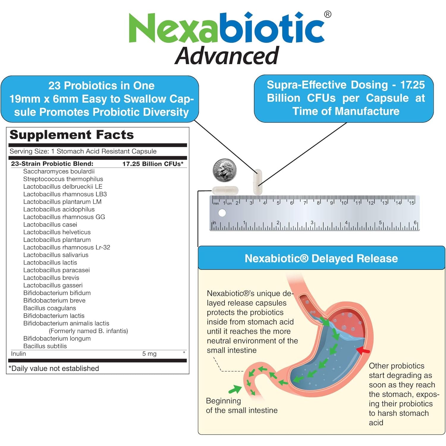 Drformulas' Best Probiotics for Women & Men | Nexabiotic Multi Probiotic with Saccharomyces Boulardii, Lactobacillus Acidophilus, B. Infantis, Prebiotic 60 Count Capsules (Not Pearls)