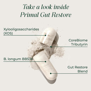 Primal Harvest Restore for Gut Health, Primal Gut Restore W/Postbiotics, Prebiotics and Probiotics for Women and Men, 60 CT - Digestion, Colon Cleanse, Immunity Support - Helps Leaky Gut Repair