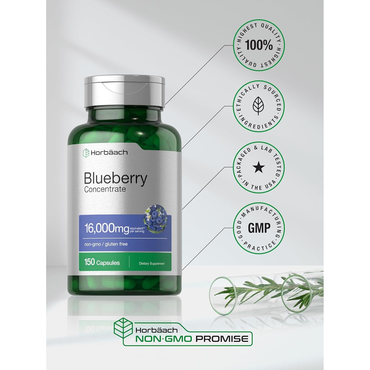 Horbäach Blueberry Extract Supplement | 150 Capsules | Blueberry Concentrate | Non-Gmo & Gluten Free Formula