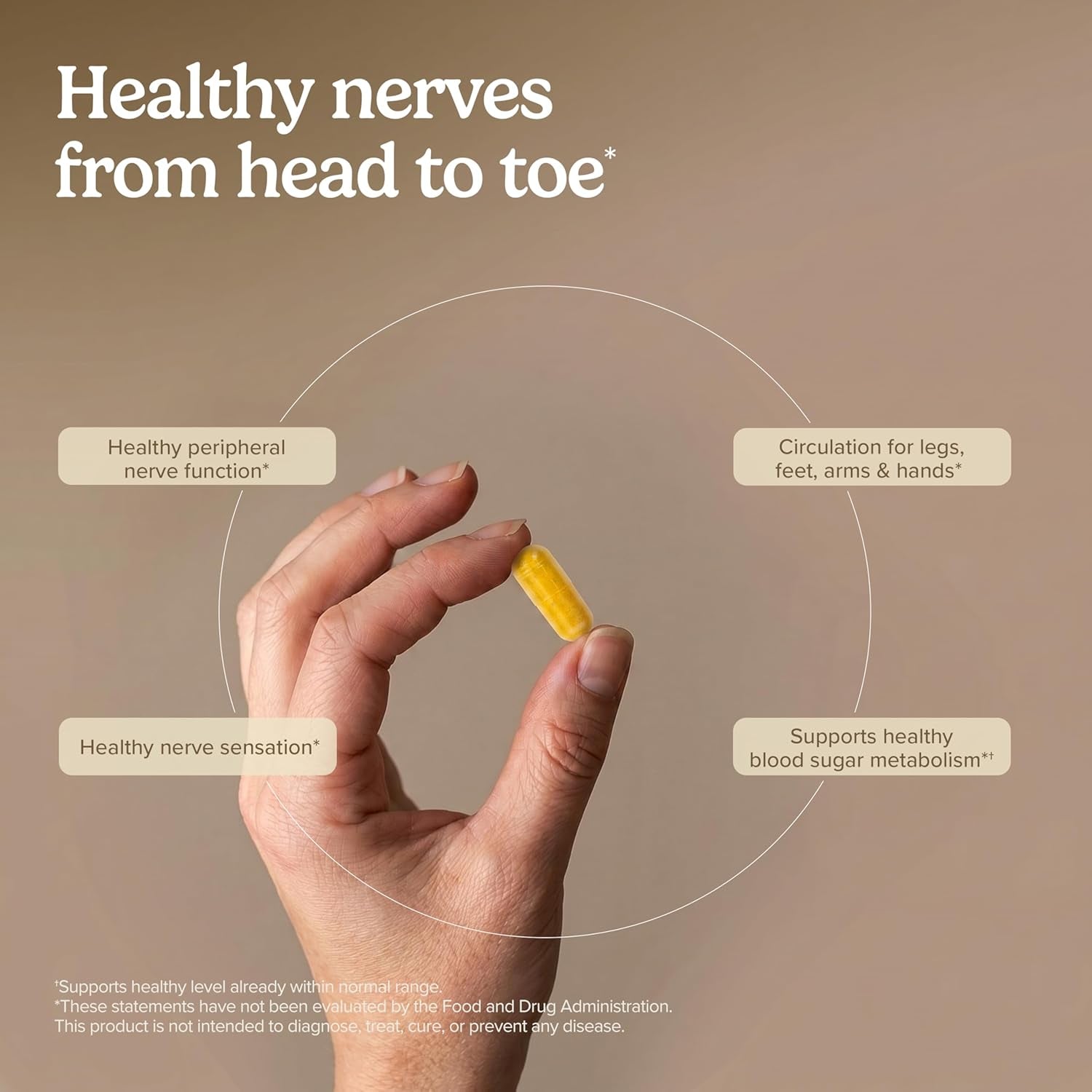 Terry Naturally Healthy Feet & Nerves - Herbal Supplement with Bioactive Vitamin B12 - Circulation & Nerve Health Support Supplement - Vegan Capsules with Boswellia Serrata - 60 Capsules