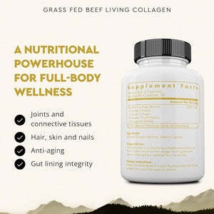 Ancestral Supplements Grass Fed Beef Living Collagen Nutritional Powder Supplement, 3000Mg, Promotes Healthier, Younger Looking Skin, Hair, Nails and Joints, Type II, 180 Capsules