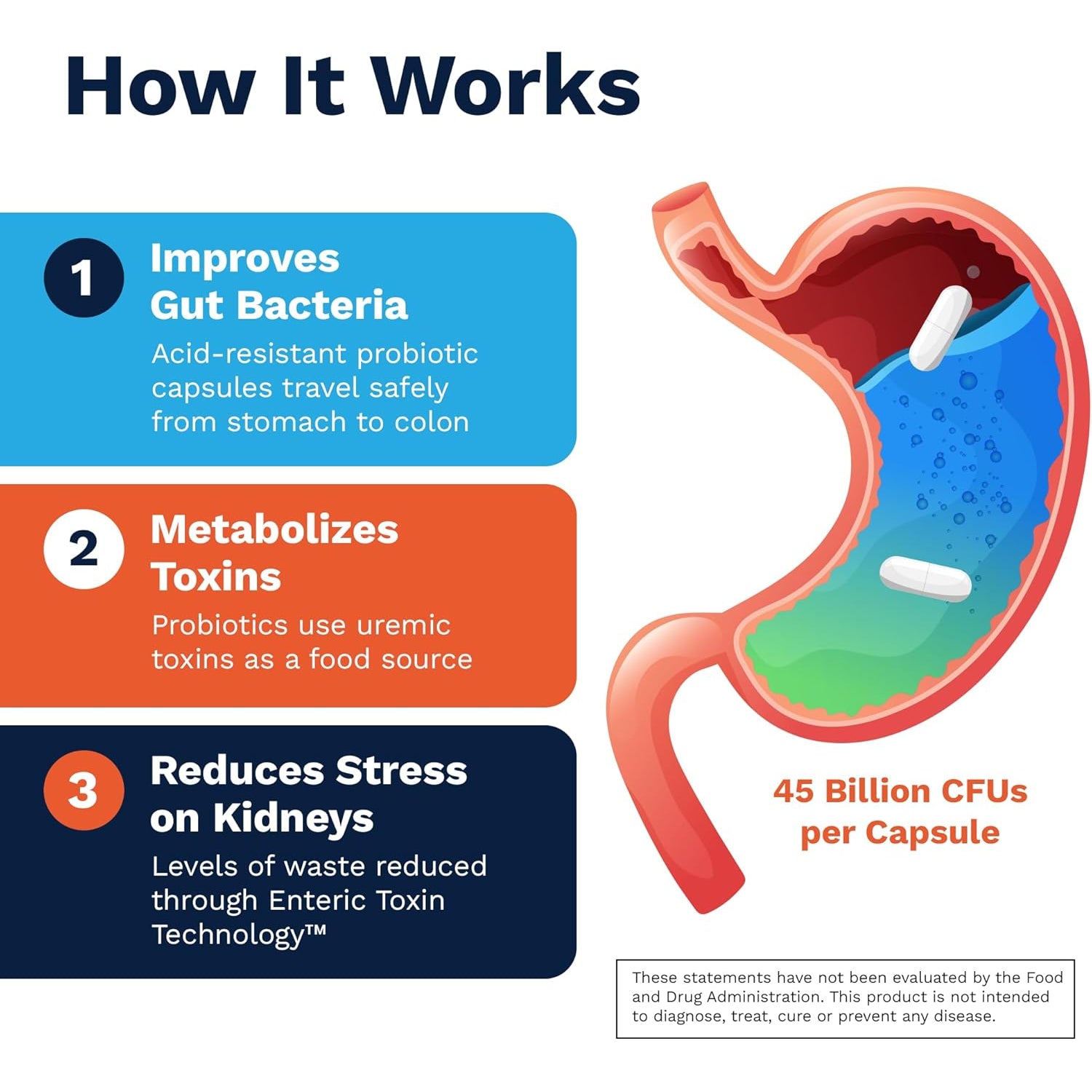 Renadyl Kidney Probiotic Supplement | Urea, Creatinine, & Uric Acid Support | 45 Billion Cfus | Clinically Tested, Non-Gmo, & Made in USA, 60 Capsules (1 Bottle, 1 Month Supply)