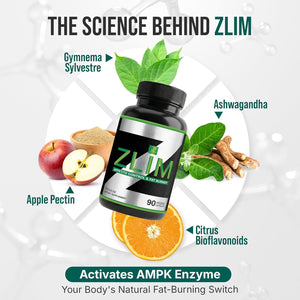 Dr. Zisman ZLIM Fiber Capsules – Fiber Supplement for Digestive & Gut Health Support – Apple Pectin, Gymnema Sylvestre & Ashwagandha – Plant-Based Dietary Supplement – 90 Veggie Capsules
