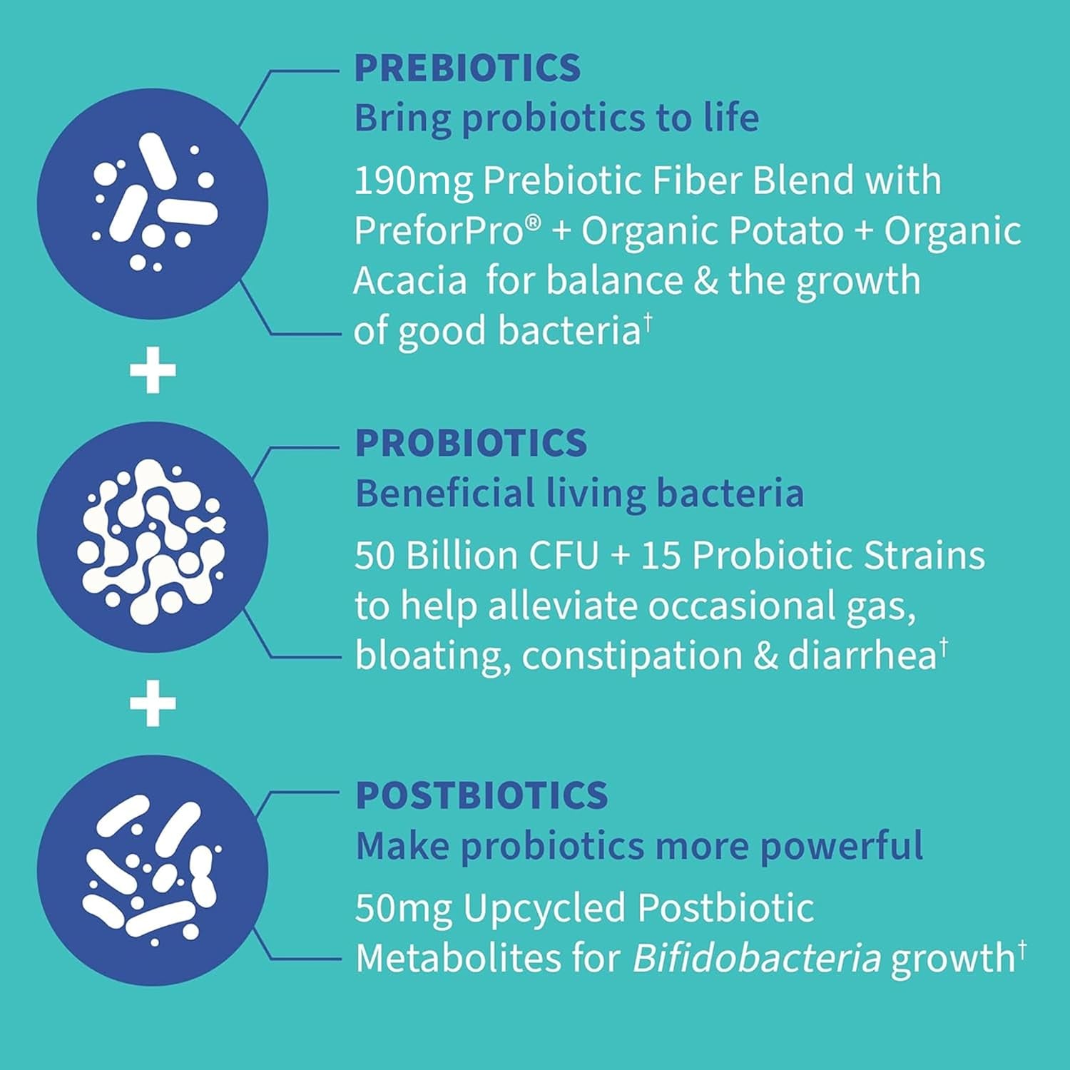Garden of Life Dr. Formulated Pre, Post & Probiotics Gas & Bloating Once Daily 3-In-1 Complete Prebiotics, Postbiotics & Probiotics – 50 Billion CFU, Non-Gmo, Gluten-Free, 30 Day Supply