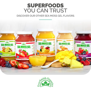 Eversmith Organics - Wildcrafted Irish Sea Moss Gel | Made in USA | Rich in Vitamins & Minerals | Sea Moss Gel Raw | Nutritional Supplement | Mango Pineapple (1 Jar)