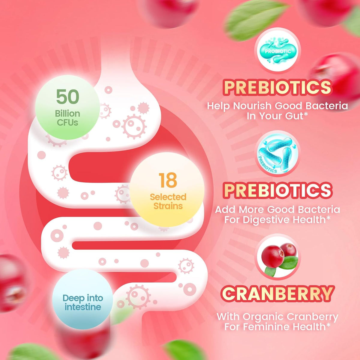 Vivonu Viginal Probiotics for Women, Women Probiotic Gummies, Feminine Balance Gummies, Prebiotic Gummy, Cranberry Probiotics for Woman Vaginigal Health, Yeast Ph Balance| 60 Gummies