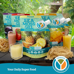 Yemayá Sea Moss Gel with Pineapple Flavor | Wildcrafted Sea Moss from St. Lucia | Vegan, Non-Gmo, Gluten Free | 16 Oz