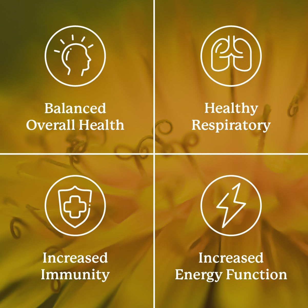 Nature'S Sunshine VS-C TCM Concentrate 30 Capsules