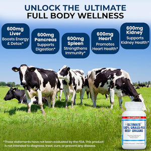 Ultimate 100% Grass Fed Beef Organs Supplement Supports Energy & Whole Body Wellness* with a Complex of Desiccated Beef Liver, Heart, Kidney, Pancreas & Spleen. Pesticide Free & Non-Gmo, 180 Capsules