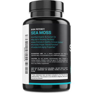 SPARTIS Certified Organic Sea Moss Capsules 2250Mg Wildcrafted Irish Sea Moss Burdock Root Bladderwrack Supplement Raw Seamoss Pills & Powder (Pack of 1 at 180-Caps)