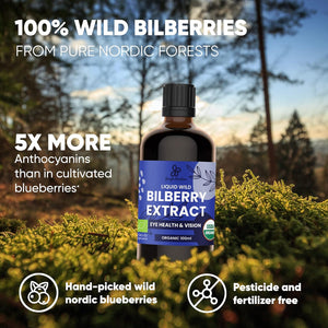 Jungle Powders Wild Bilberry Extract for Eyes USDA Organic 3.4Oz Bottle of Liquid Bilberry Anthocyanin Alcohol-Free European Blueberry Bilberry Supplement for Eyes High Bioavailability Liquid Extract