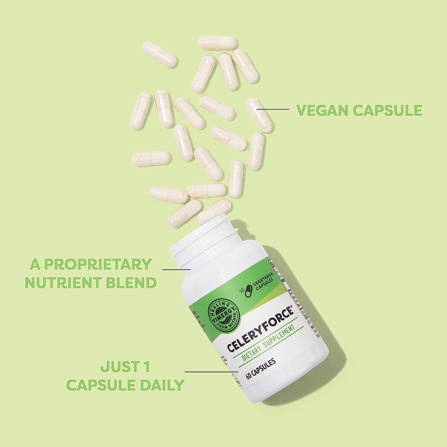 Vimergy Celeryforce – Nutrients and Amino Acids – Supports Your Wellness Routine* – Kosher, Vegan & Gluten-Free – 60 Capsules