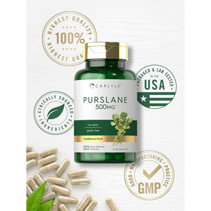 Carlyle Purslane Capsules | 120 Count | Portulaca Oleracea Extract | Non-Gmo, Gluten Free Supplement