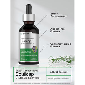 Horbaach Scullcap Herb Tincture | 2 Fl Oz | Liquid Extract Drops | Scutellaria Lateriflora | Alcohol Free, Vegetarian | Super Concentrated Supplement | Non-Gmo & Gluten Free