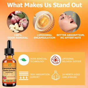 Aged Garlic Extract Liquid Drop – 500 Mg per Serving, 15:1 Extract, Odorless, Liposomal Technology for Fast Absorption – Heart & Immune Support Supplement for Men & Women, Raspberry Flavor