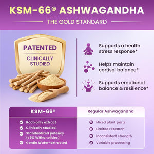 Cortisol Supplements for Women, Cortisol Reducer Manager Detox with KSM-66® Ashwagandha, Kava, Lemon Balm & Vitamin C B5 B6, Lower Cortisol, Hormone Harmony Liquid Drops, 2 FL.OZ, Blueberry Flavor