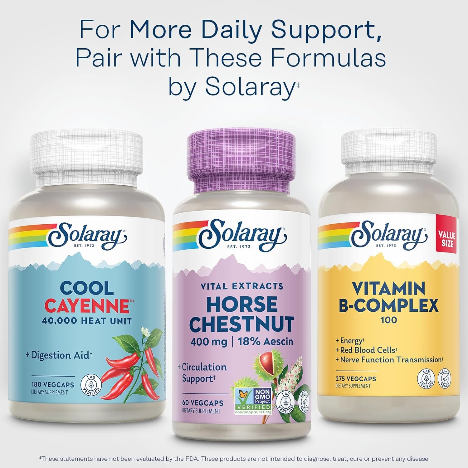 Solaray Horse Chestnut Extract 400 Mg - Standardized to 72 Mg Aescin - with 55 Mg of Butchers Broom - Vein and Blood Circulation Supplements - Vegan, Non-Gmo, 60-Day Guarantee, 60 Servings, 60 Vegcaps