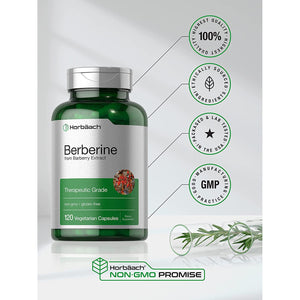 Horbaach Berberine HCL Supplement | 500Mg | 120 Capsules | from Barberry Extract | Therapeutic Grade | Vegetarian, Non-Gmo, Gluten Free