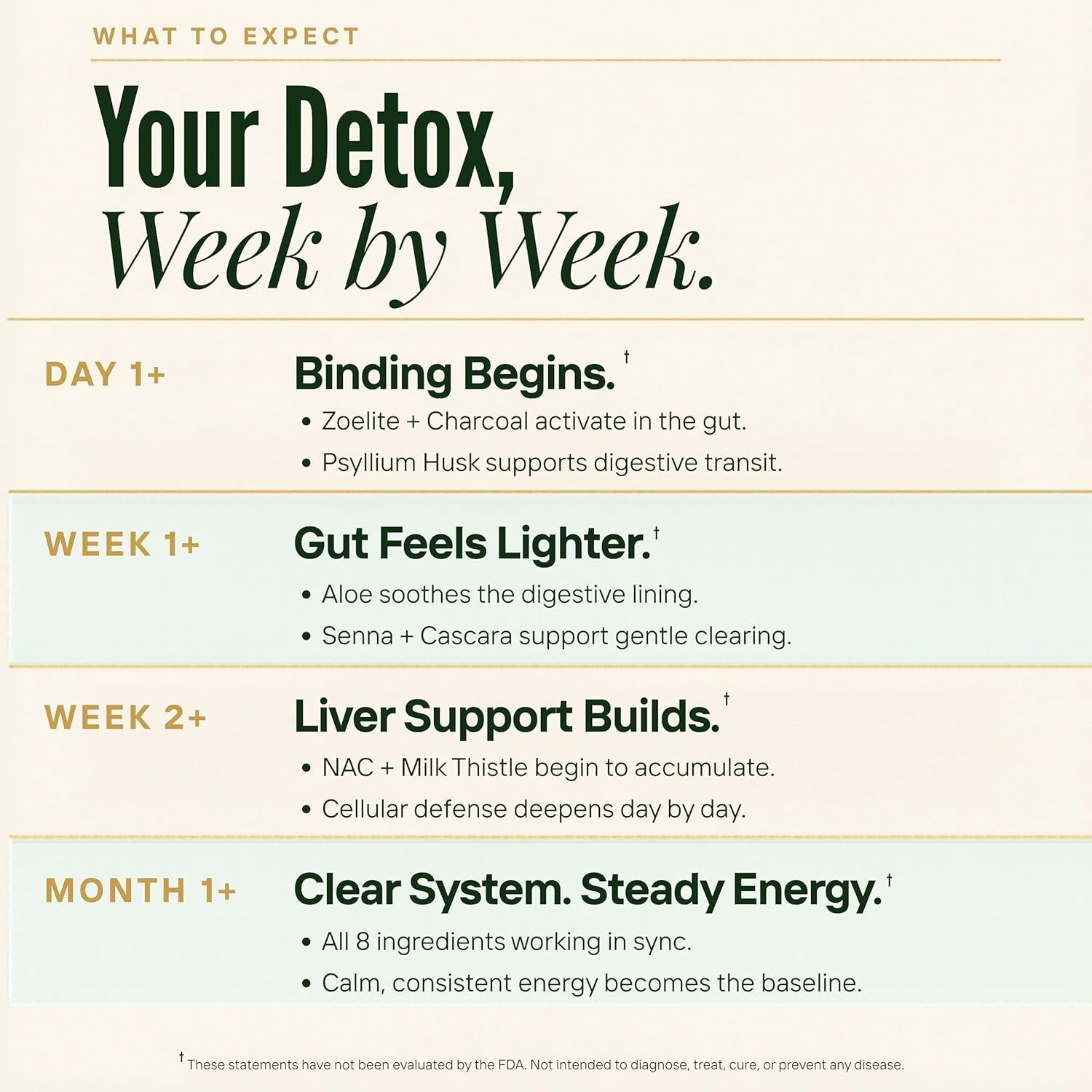 Zeolite Binder Detox – 8-In-1 Clinoptilolite Microplastics & Full Body Detox Cleanse with Activated Charcoal, NAC & Milk Thistle – Liver Cleanse & Repair, Gut Health for Adults – 60 Capsules