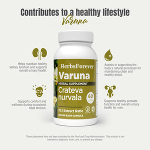 Herbsforever Varuna Nurvala Extract Capsules - Vegan & Gluten Free | Plant Based Supplement for Bladder & Kidney Function, 800 Mg per Capsules (60 Nos)