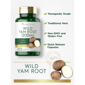 Carlyle Wild Yam Root Capsules | 200 Count | Traditional Herbal Extract | Non-Gmo, Gluten Free